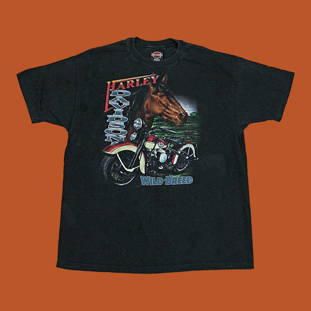 HURLEY DAVIDSON 90's Fade Black ロンTee M HURLEY DAVIDSON 90's Fade Black ロンTee M 90s Harley