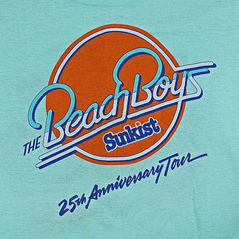 1986 The Beach Boys 25th Anniversary